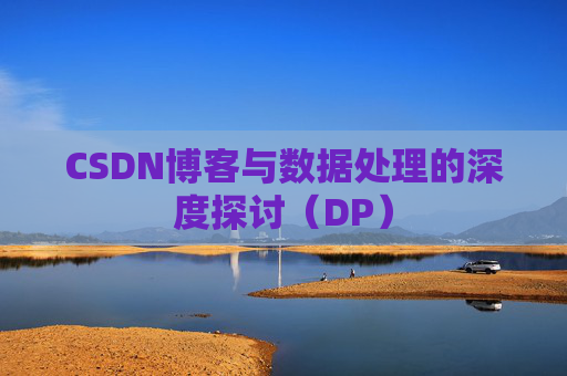 CSDN博客与数据处理的深度探讨（DP）
